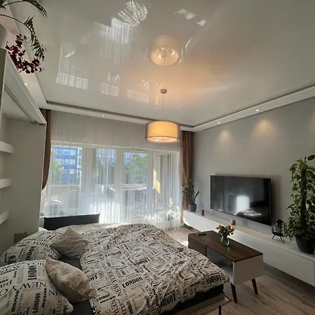 Cozy - 3 Guests 公寓 *